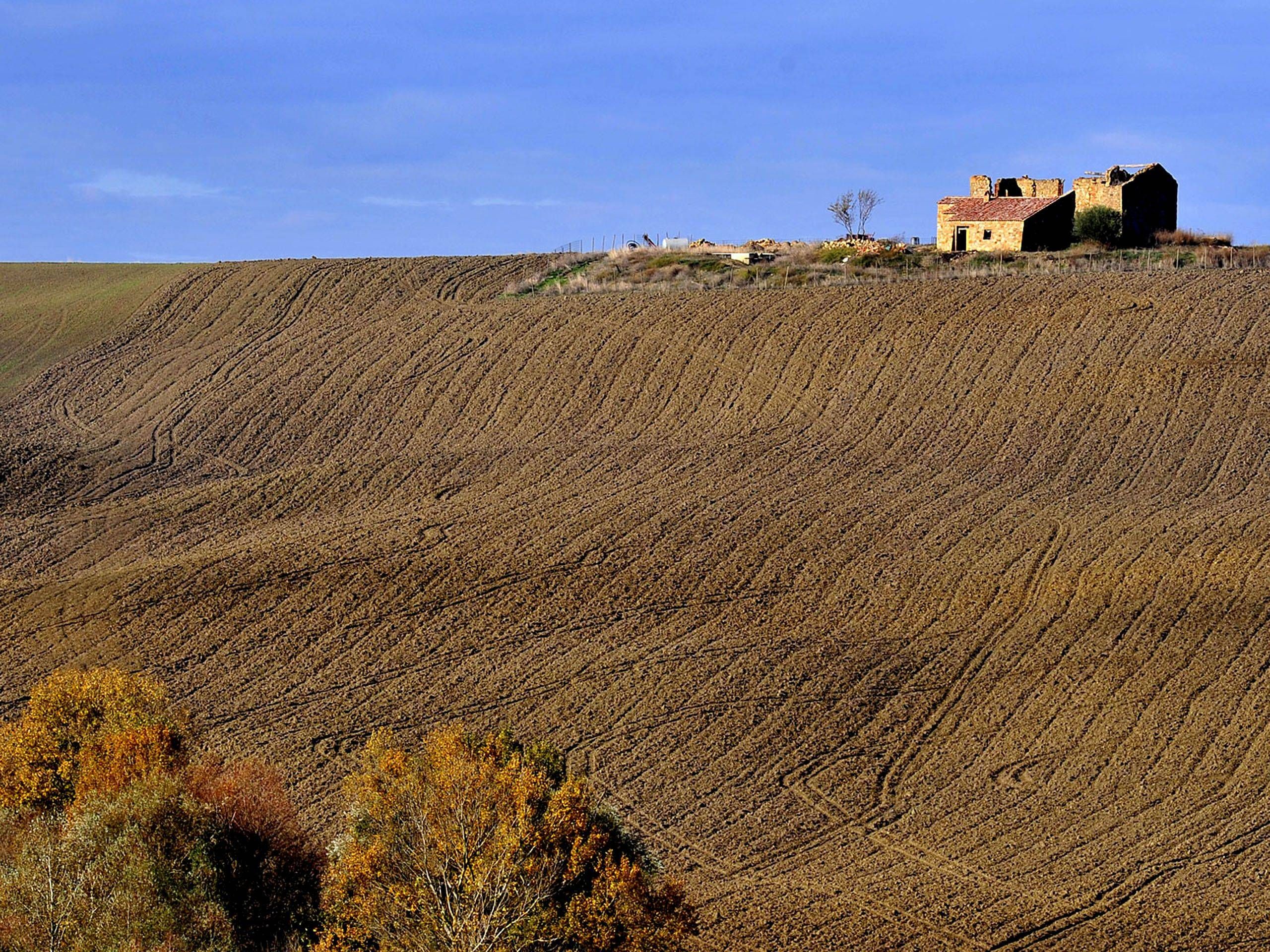 Campi In Toscana San Quirico D’orcia , Tuscany , Italy - Field - HD Wallpaper 
