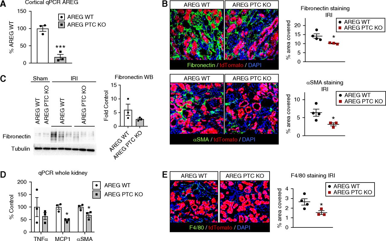 Diagram - HD Wallpaper 
