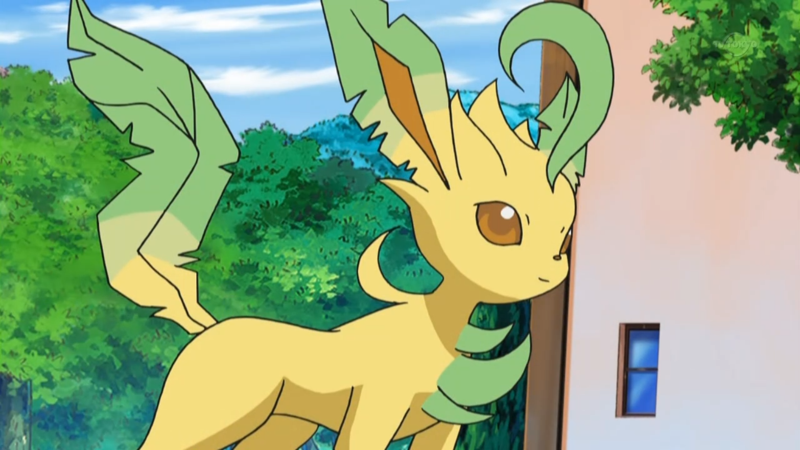 Pokemon Leafeon - HD Wallpaper 