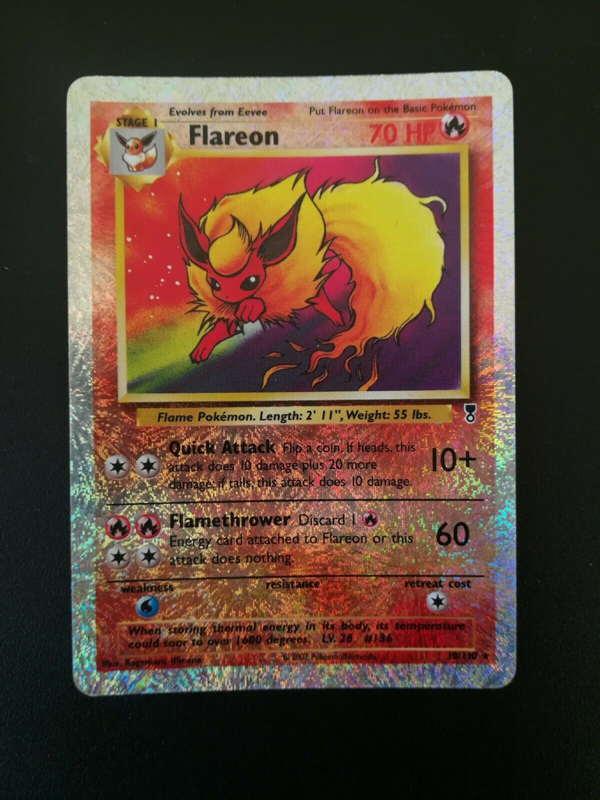 Flareon 1st Edition Jungle - HD Wallpaper 