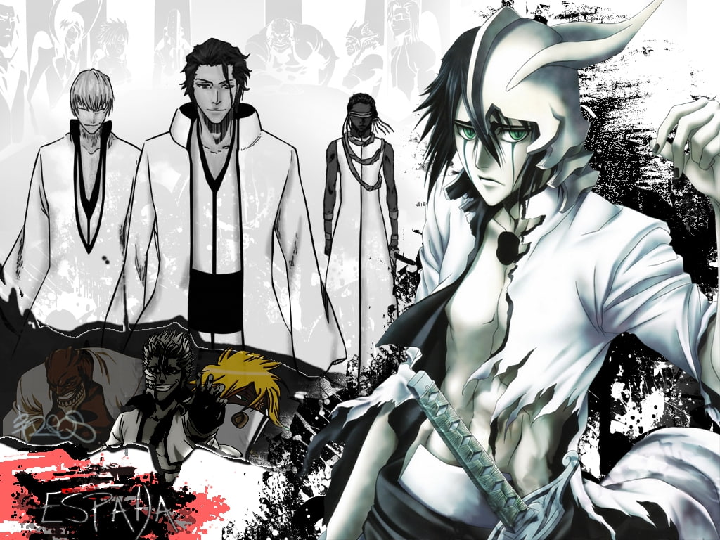 Cifer Bleach Ulquiorra - HD Wallpaper 