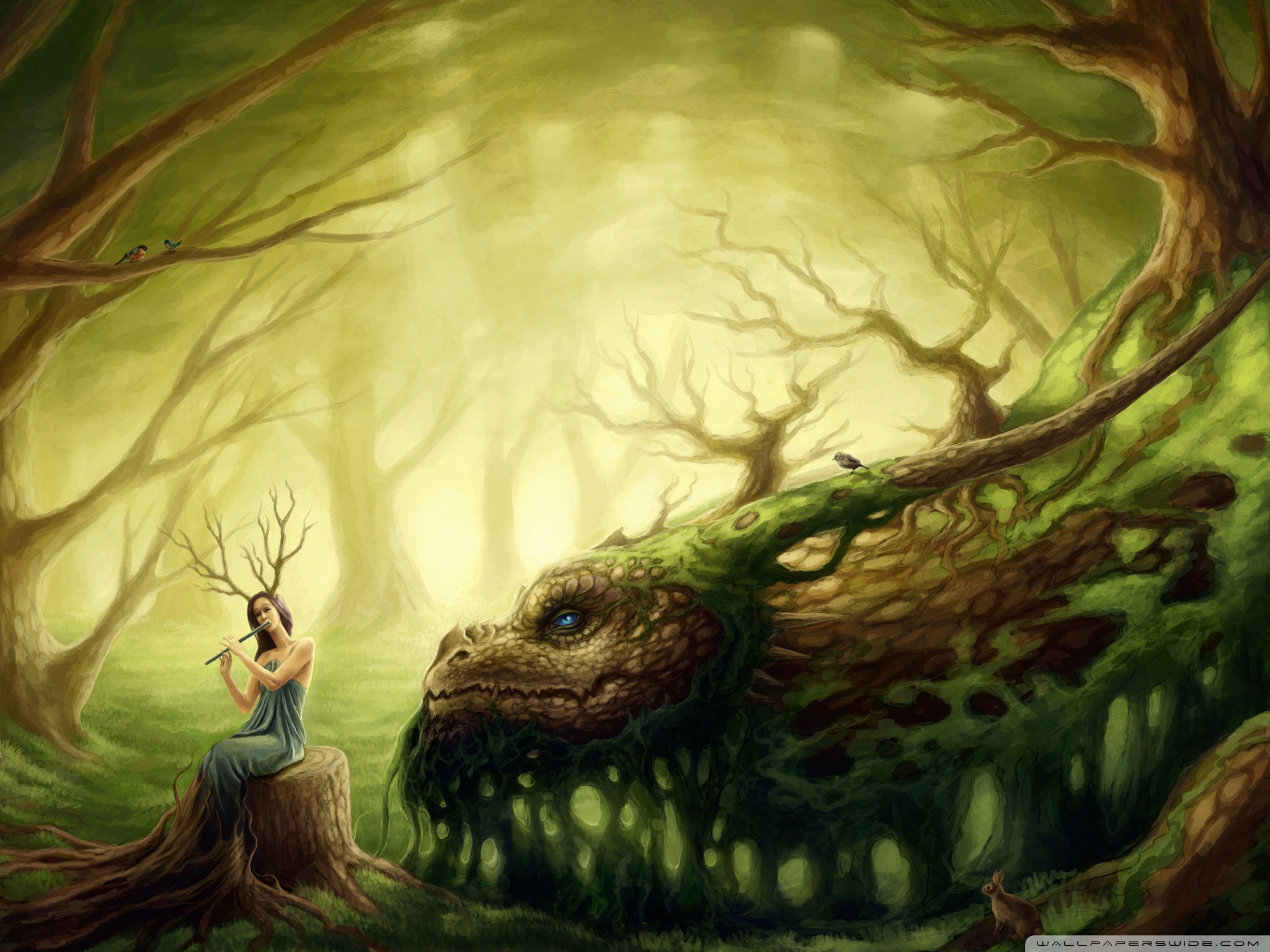 Fantasy Forest Creatures - HD Wallpaper 