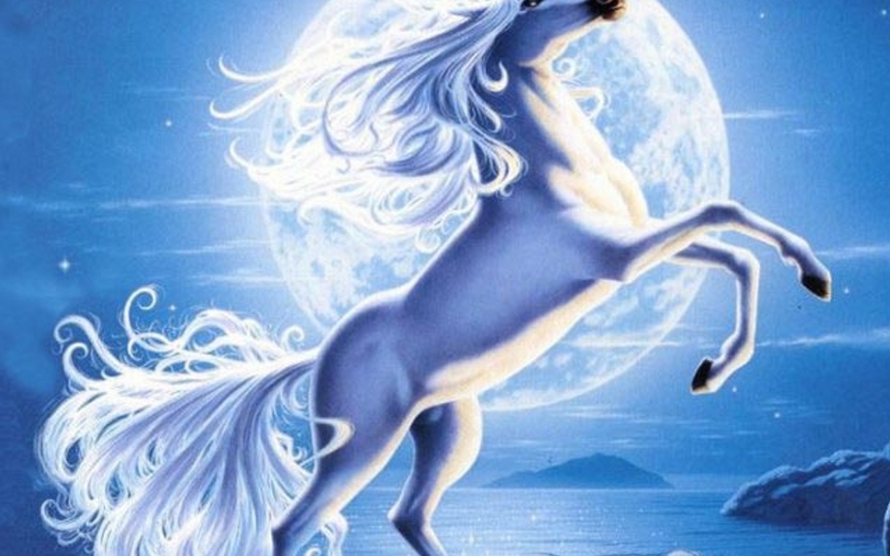 Unicorns - Magical C - Magical Creatures Magical Unicorn - HD Wallpaper 