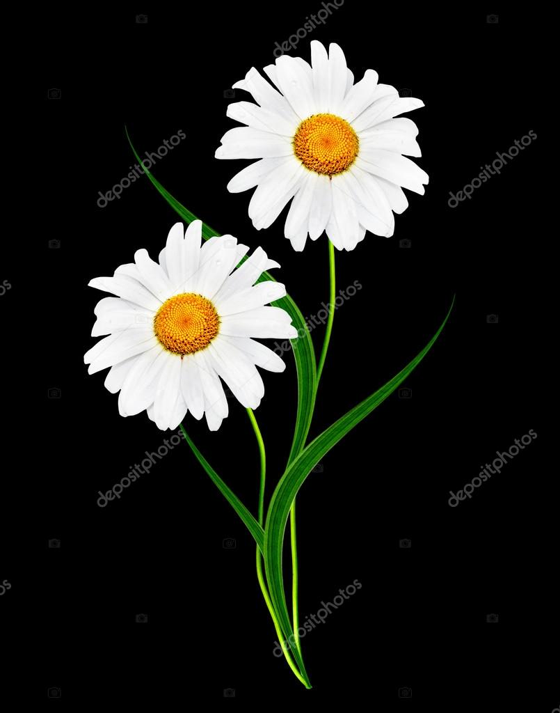 Stock Photography - HD Wallpaper 