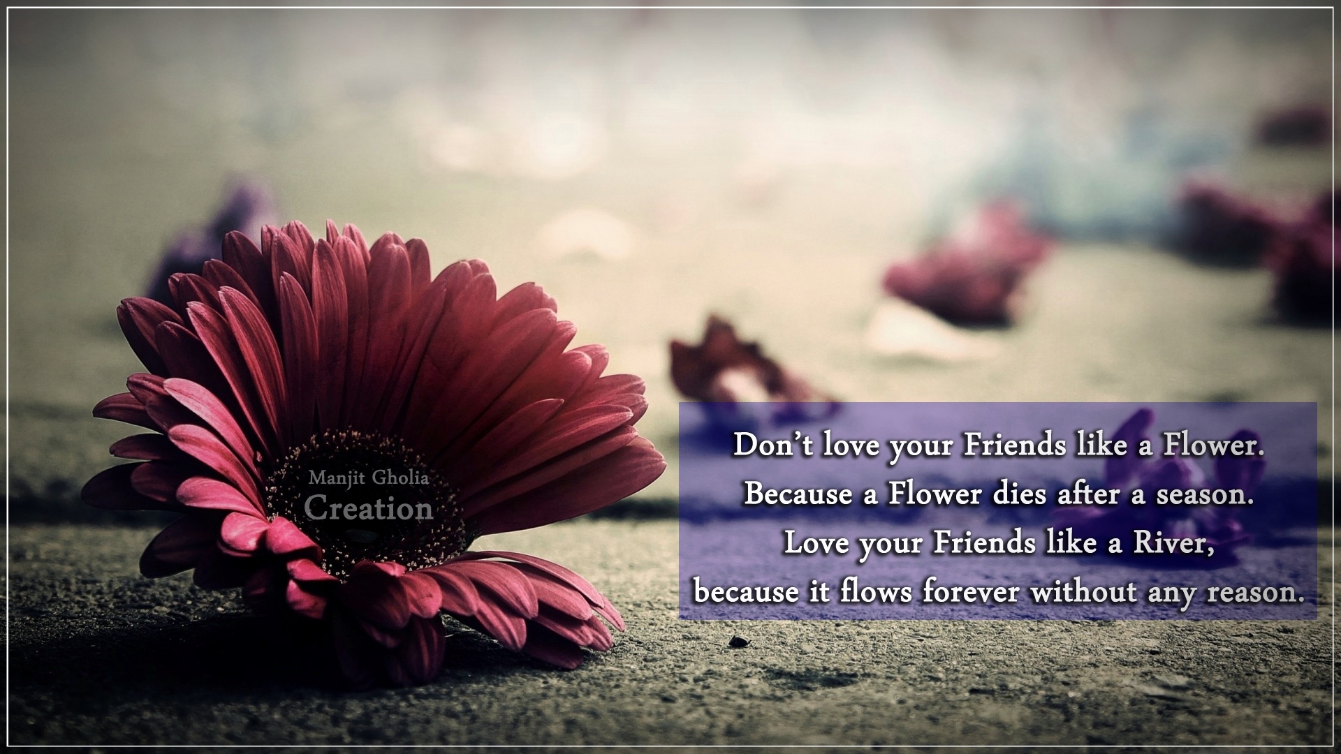 Broken Flower - HD Wallpaper 