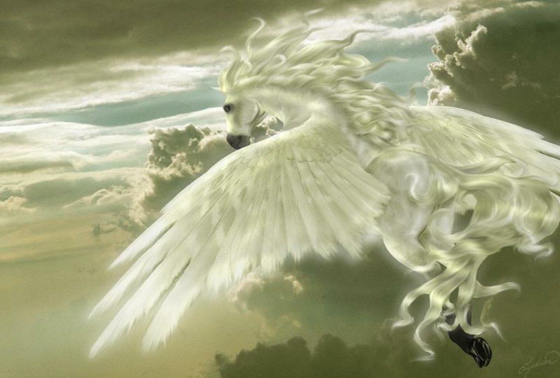 White Winged Pegasus - Greek Mythology - HD Wallpaper 