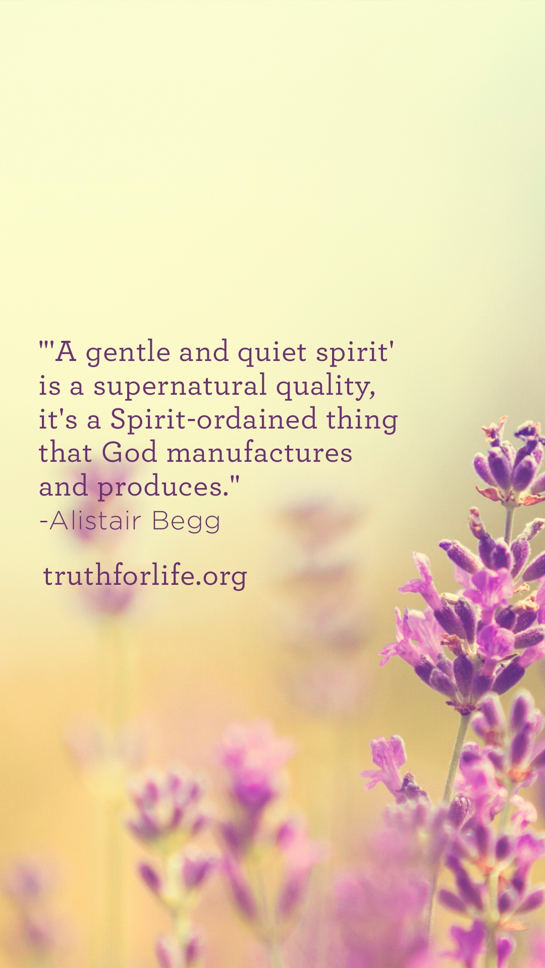 Young Living - HD Wallpaper 