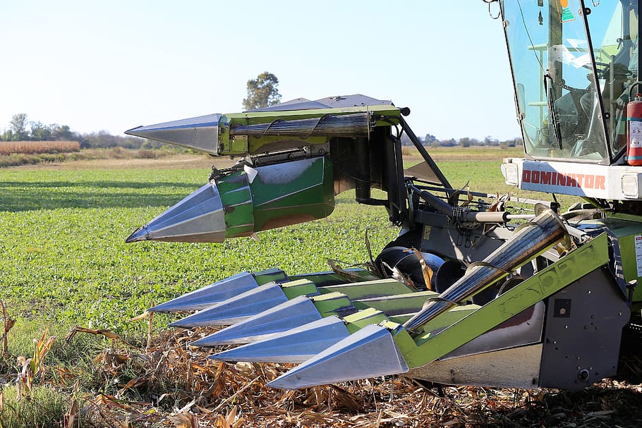 Harvester Claas Dominator 98 Sl, Front, Corn Harvesting, - Helicopter Rotor - HD Wallpaper 