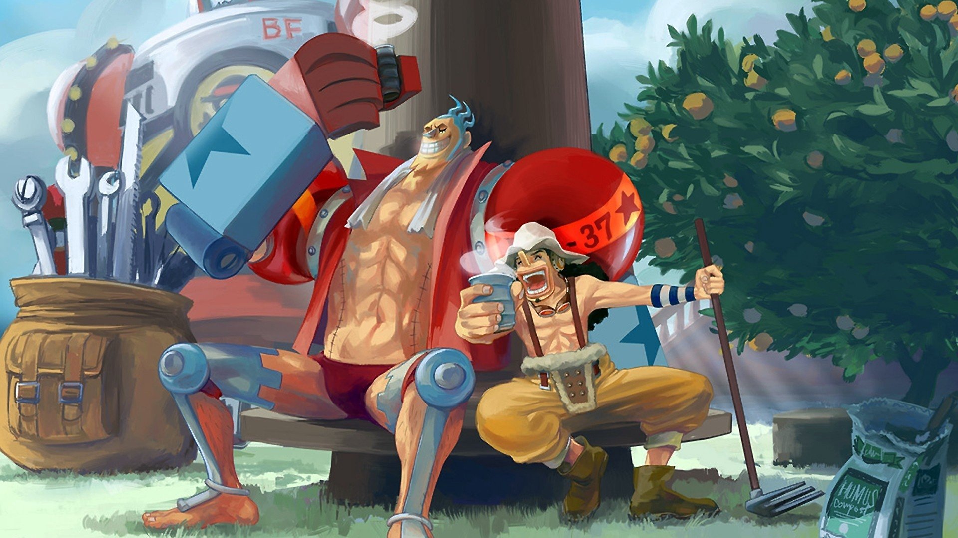 One Piece Wallpaper Hd Franky - HD Wallpaper 