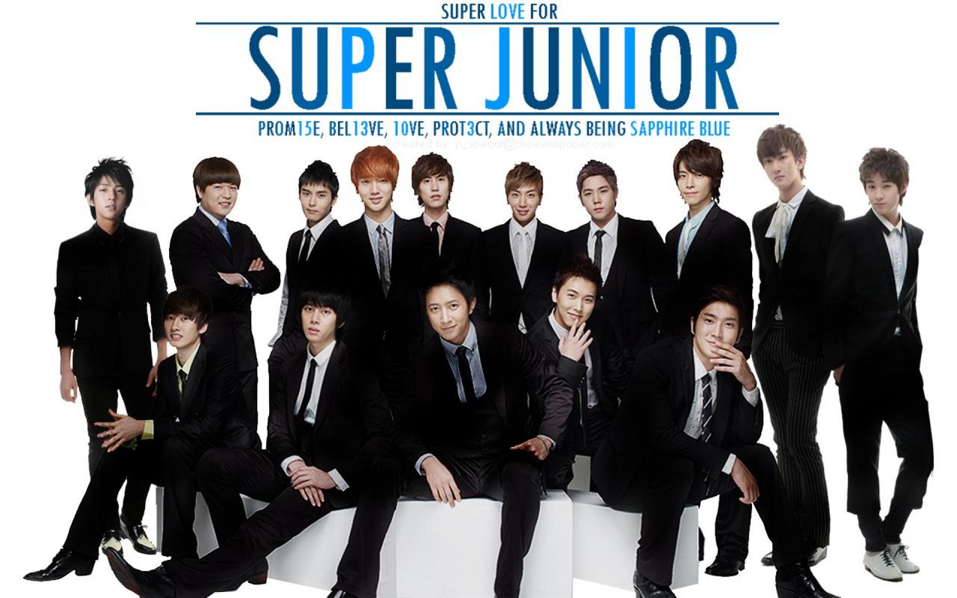 K Pop Super Junior - HD Wallpaper 
