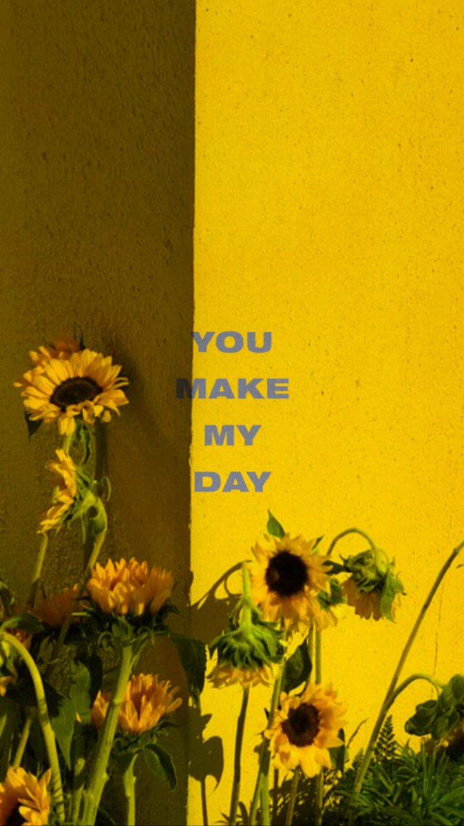 Sunflower Seventeen Oh My - HD Wallpaper 