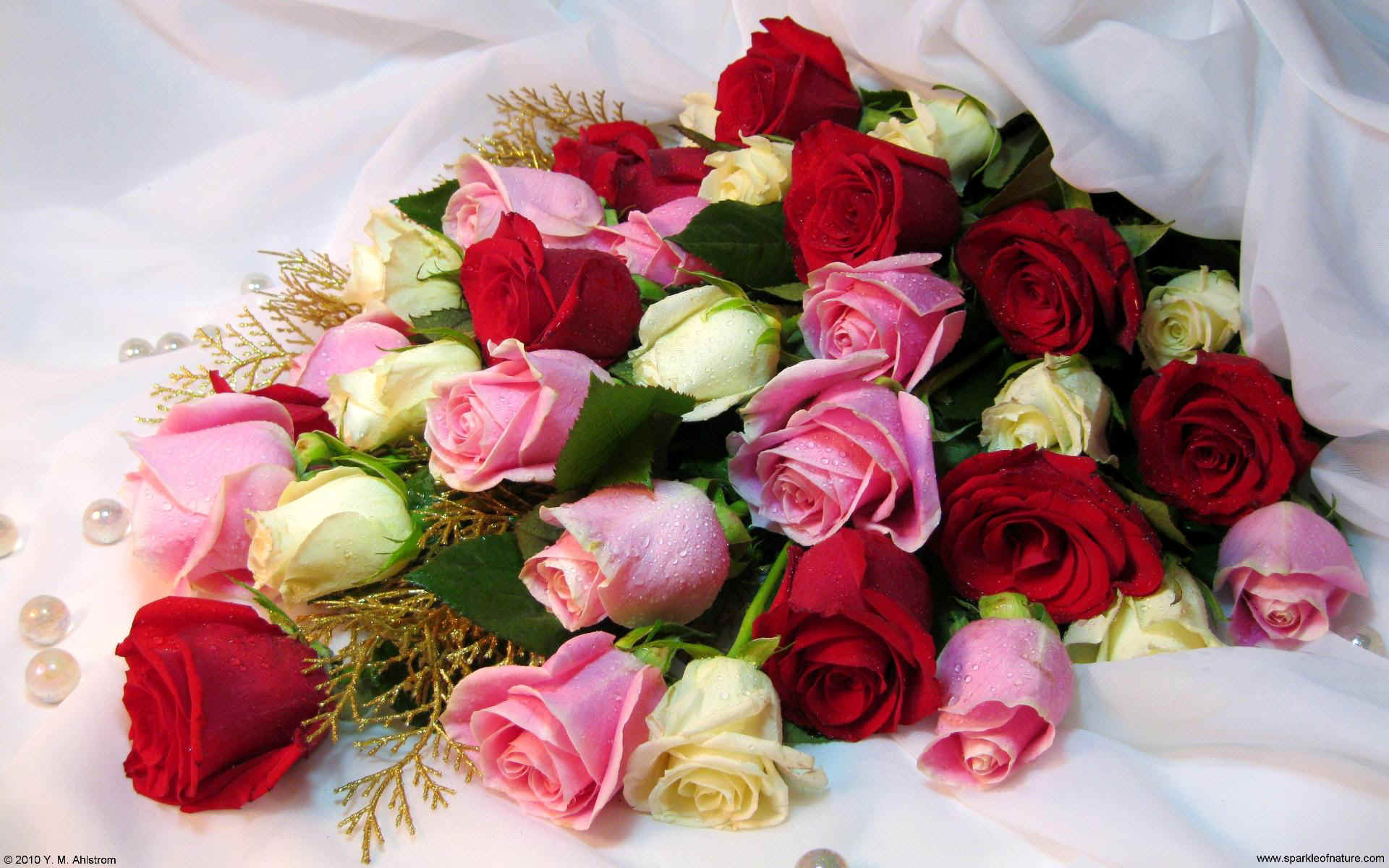 Elegant Rose Bouquet Wallpaper - Beautiful Roses Wallpapers Free Download - HD Wallpaper 