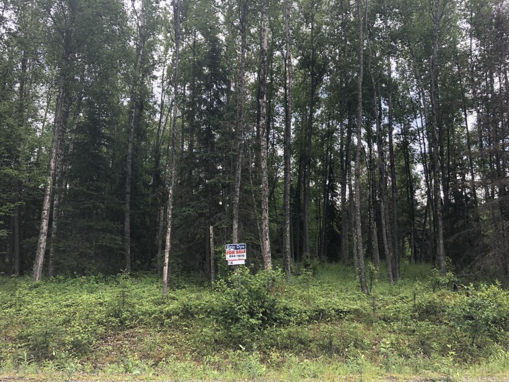 Grove - HD Wallpaper 