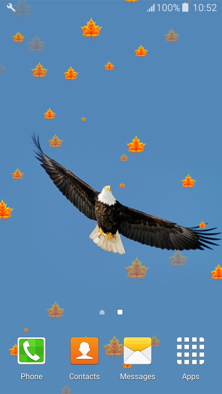 Eagle Live Wallpapers - Hình Nền Điện Thoại Đại Bàng - HD Wallpaper 