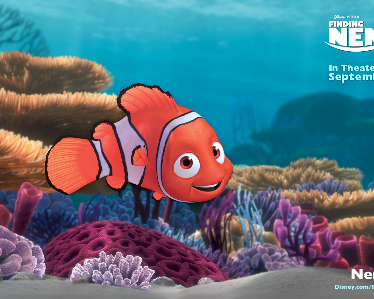 Finding Nemo - Finding Nemo 3d Marlin - HD Wallpaper 
