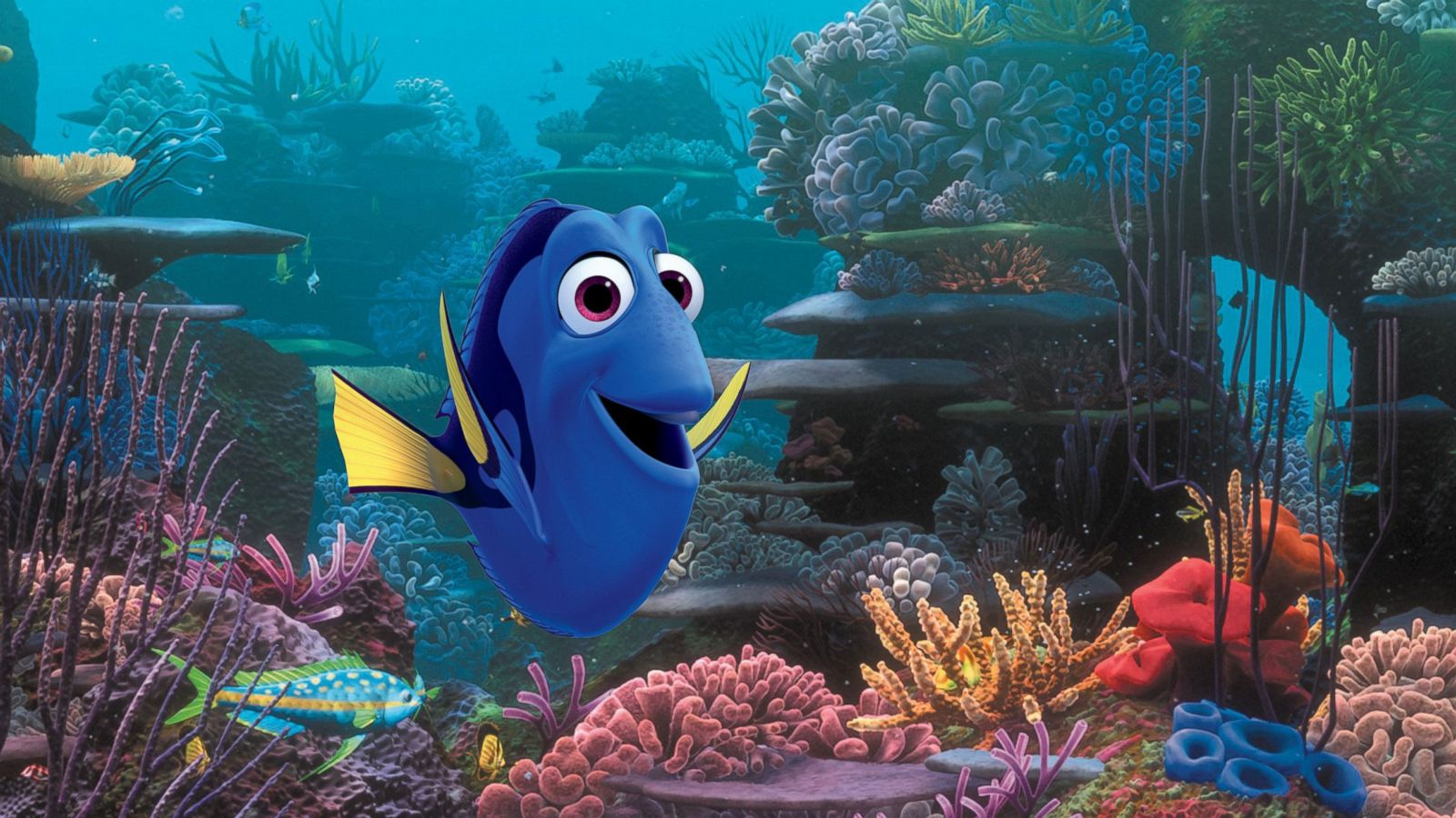 Finding Dory Hd - HD Wallpaper 