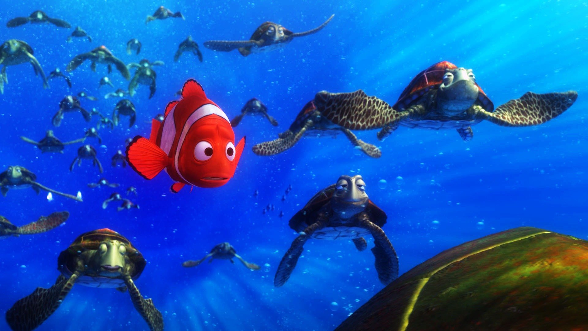 Finding Nemo Turtles Underwater 1920x1080 Wallpaper Teahub Io