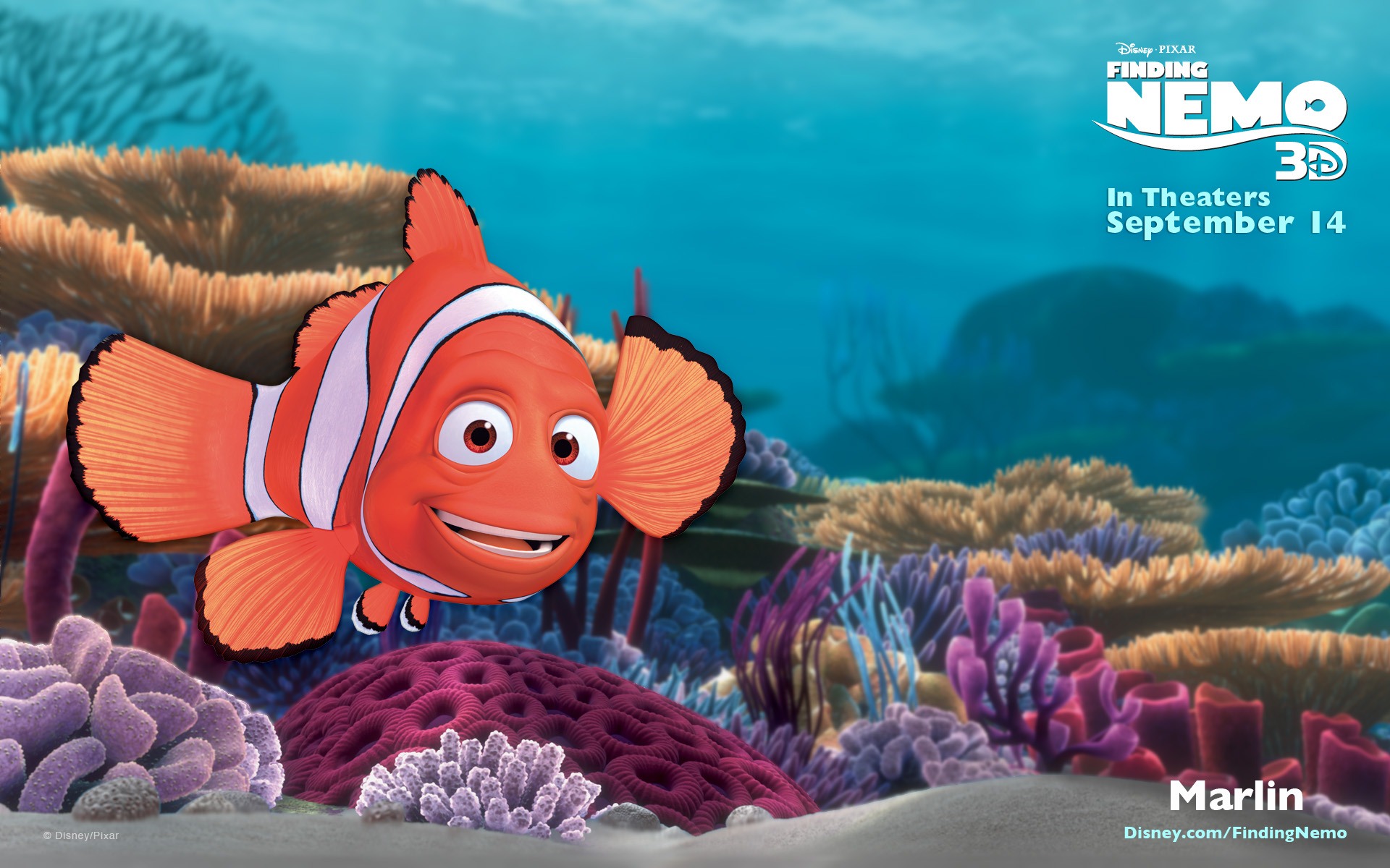 Finding Nemo 3d 2012 Hd Wallpapers - Finding Nemo Wallpaper Nemo - HD Wallpaper 