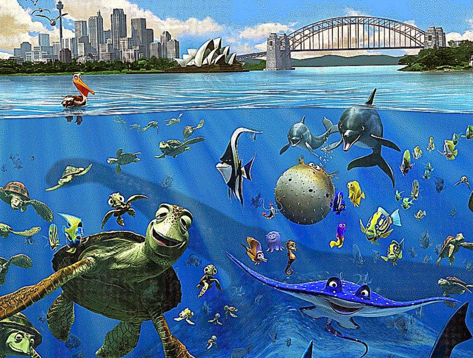Hd Wallpaper Finding Nemo Halv - Finding Nemo Sydney Harbor - HD Wallpaper 