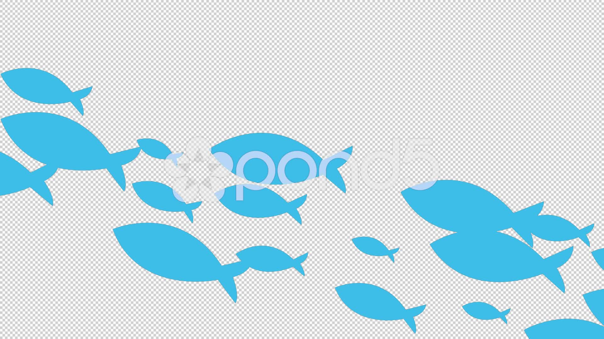 Shark - HD Wallpaper 