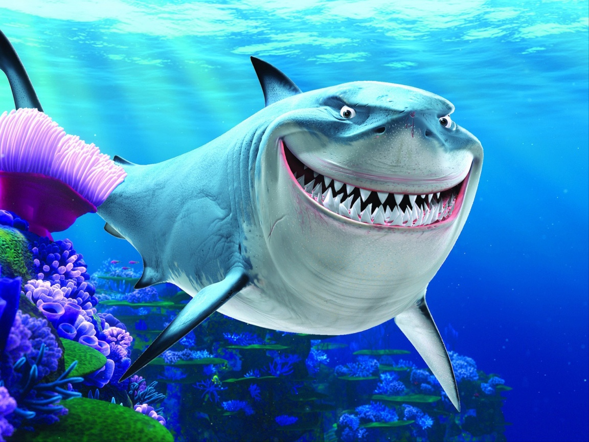Finding Nemo Shark Hd Wallpapers - HD Wallpaper 