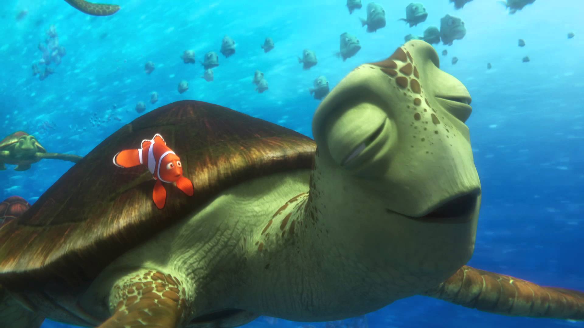Finding Dory Sea Turtles - HD Wallpaper 