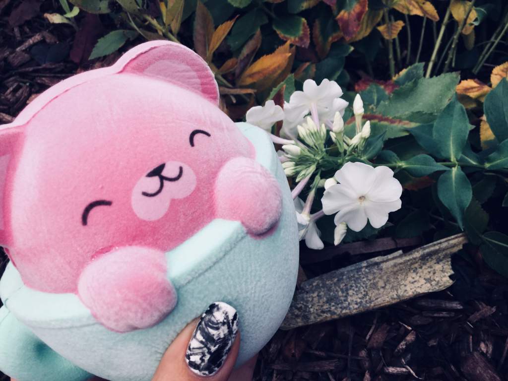 User Uploaded Image - Stuffed Toy - HD Wallpaper 