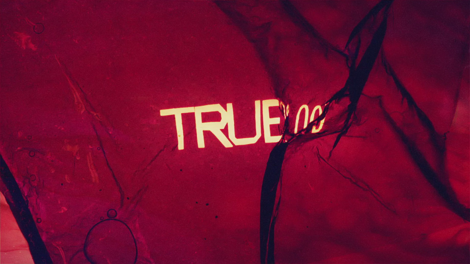 True Blood - HD Wallpaper 