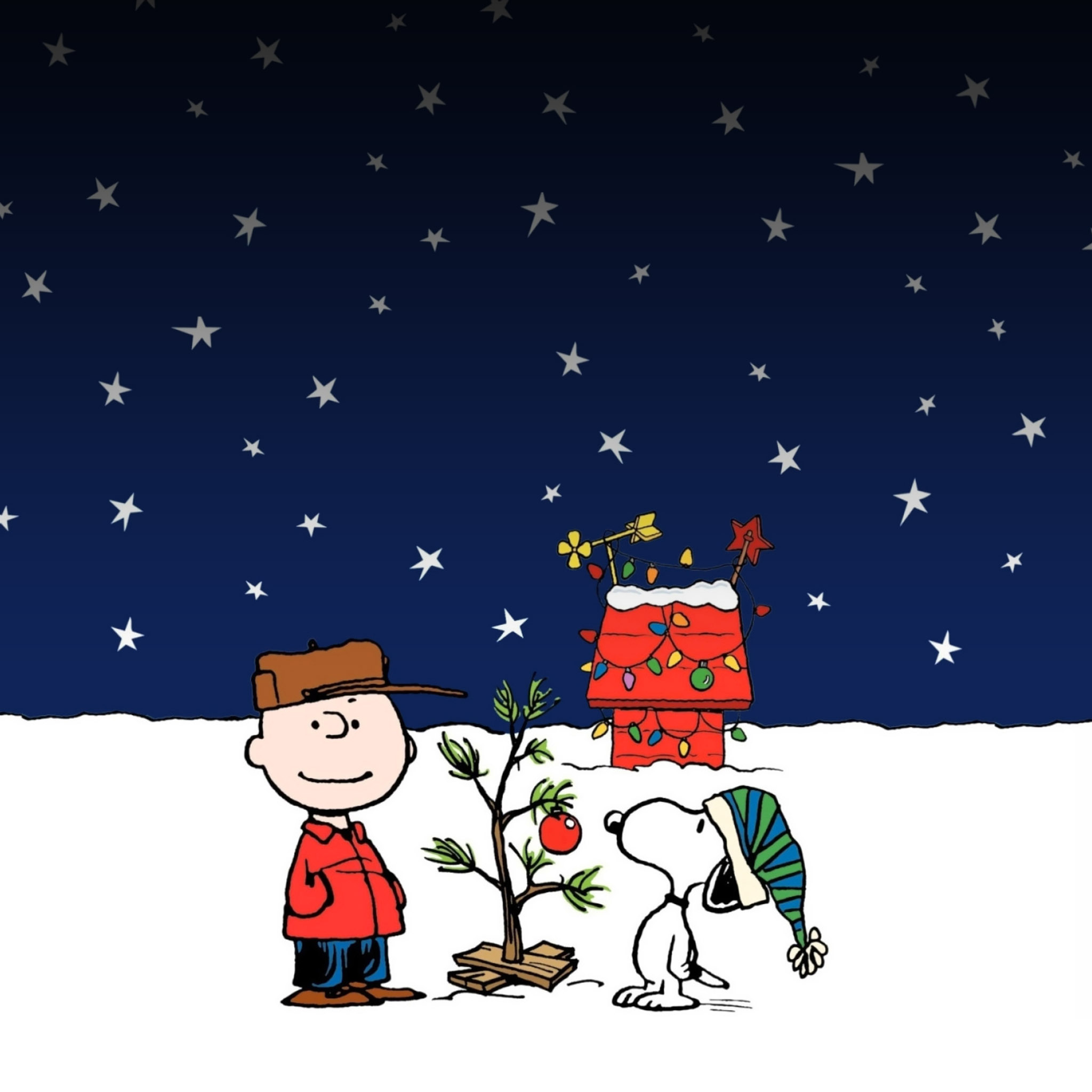Cartoon Charlie Brown Christmas Tree - HD Wallpaper 