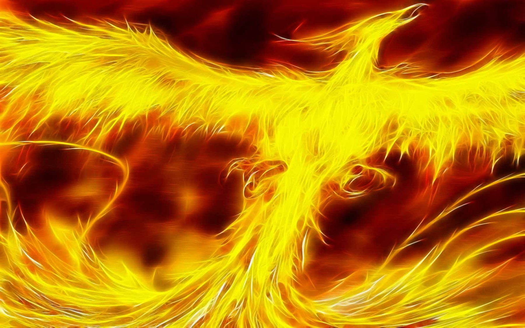 Bird Fire Phoenix - HD Wallpaper 