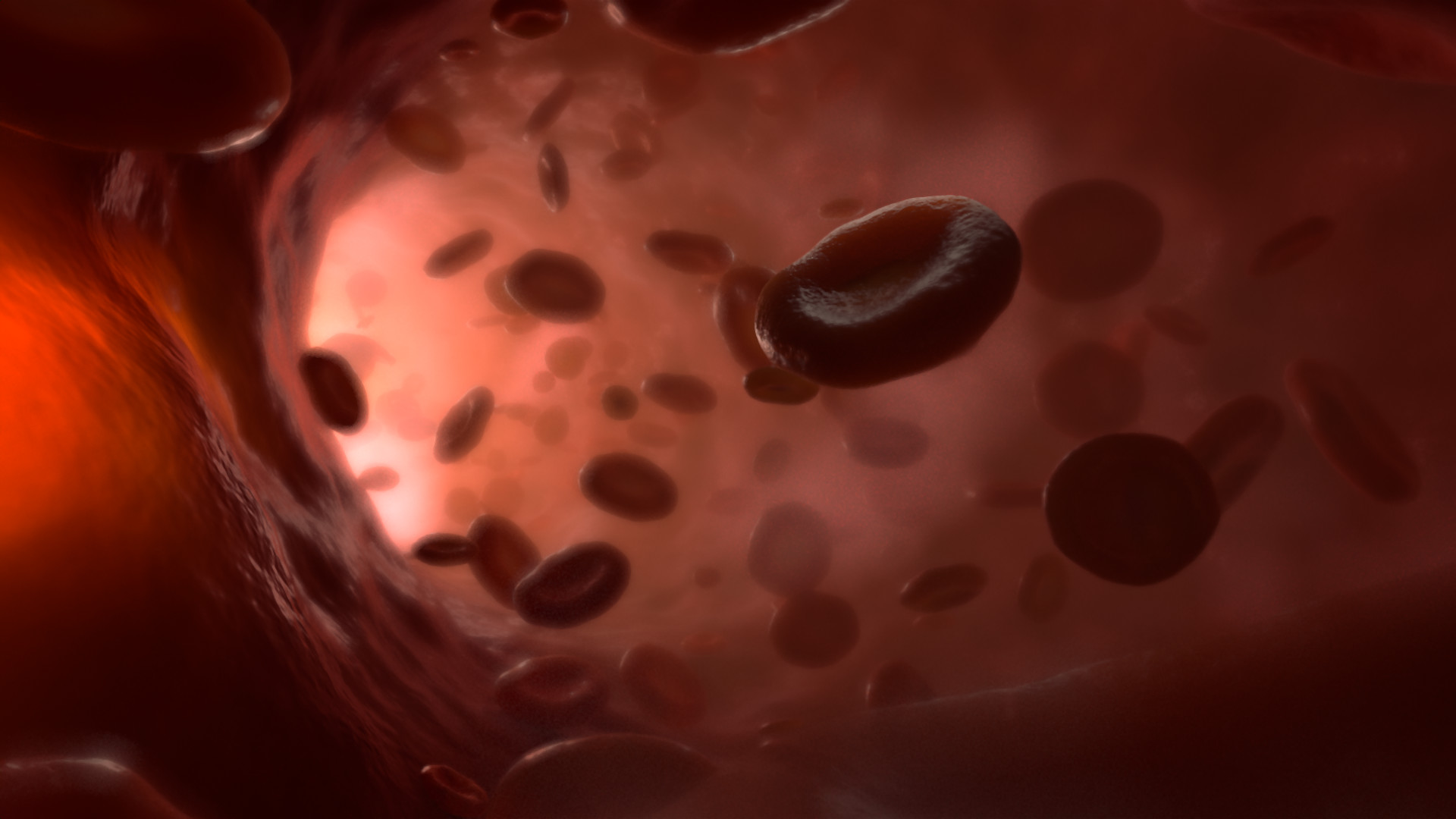 Macro Photography - HD Wallpaper 