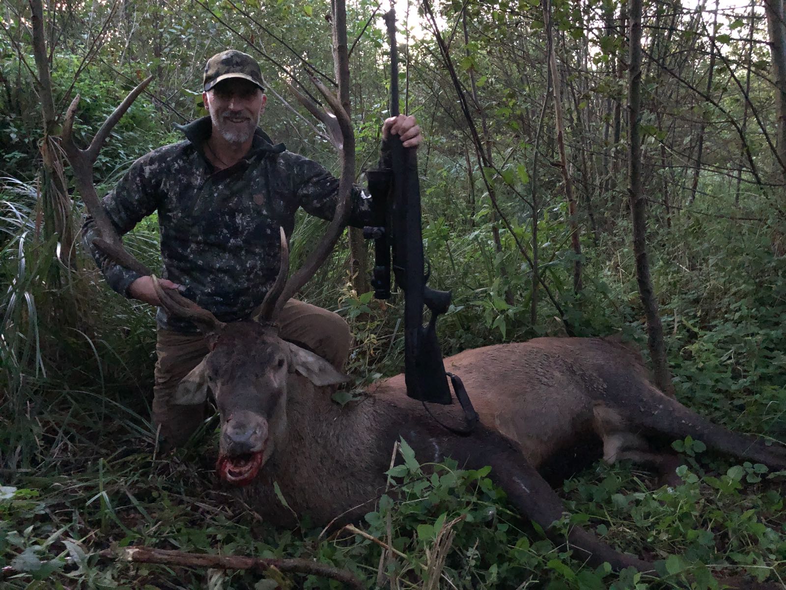 Wen Die Götter Lieben - Trophy Hunting - HD Wallpaper 