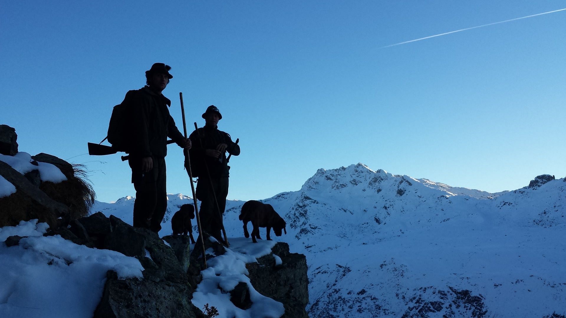 Jagd Sonnenaufgang Hund - Snow - HD Wallpaper 