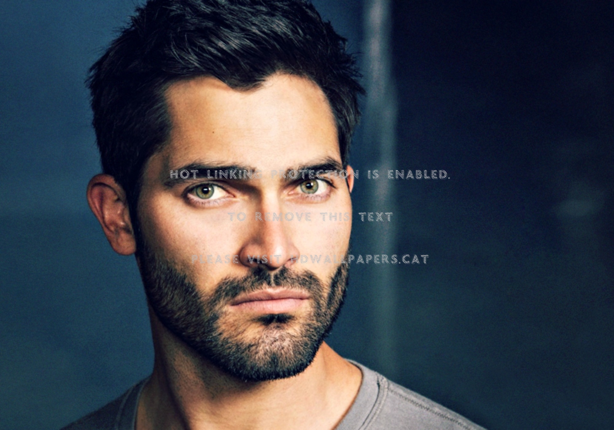 Tyler Hoechlin Derek Hale Fantasy Tv Series - HD Wallpaper 