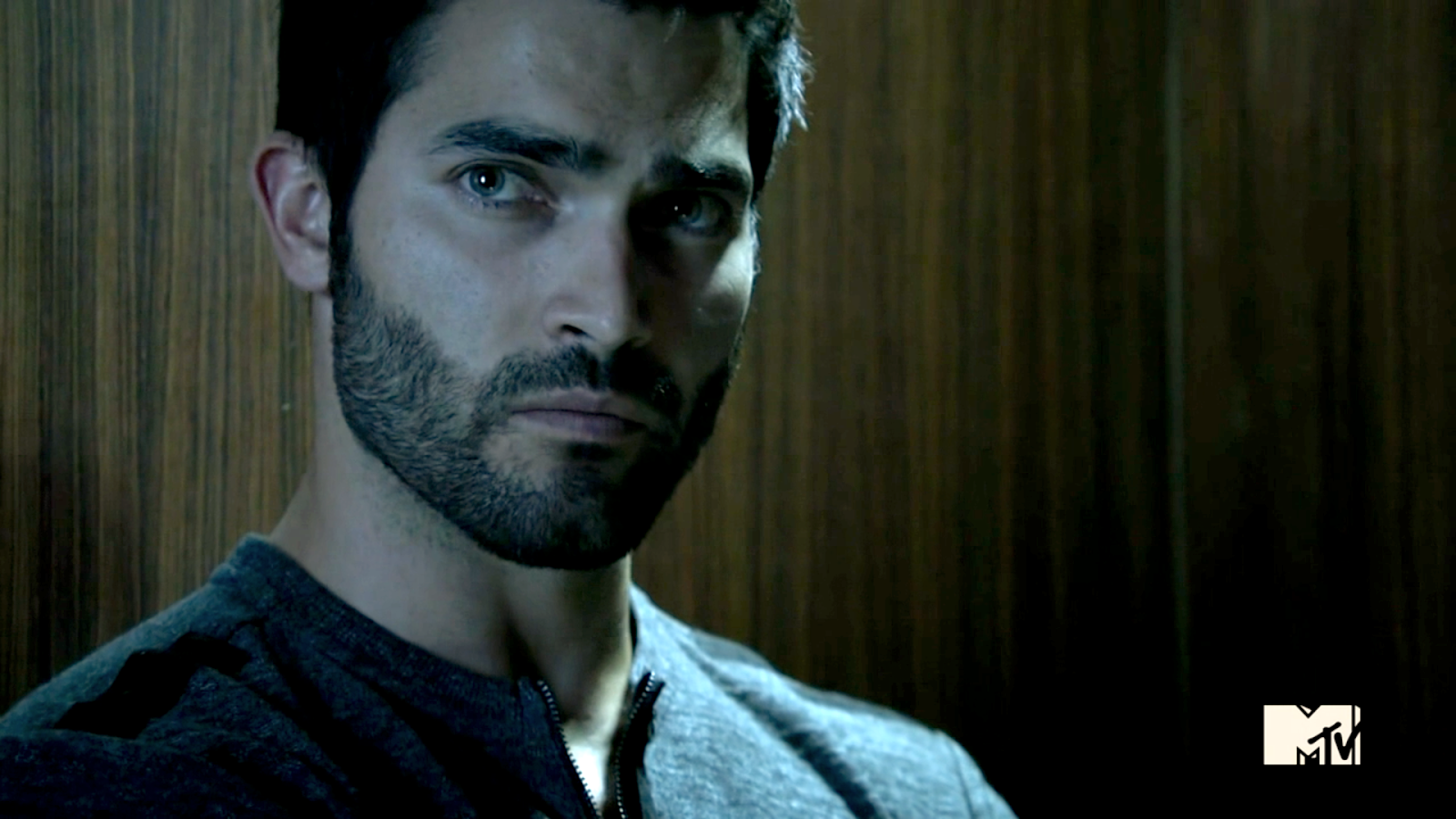 Tyler Hoechlin - HD Wallpaper 