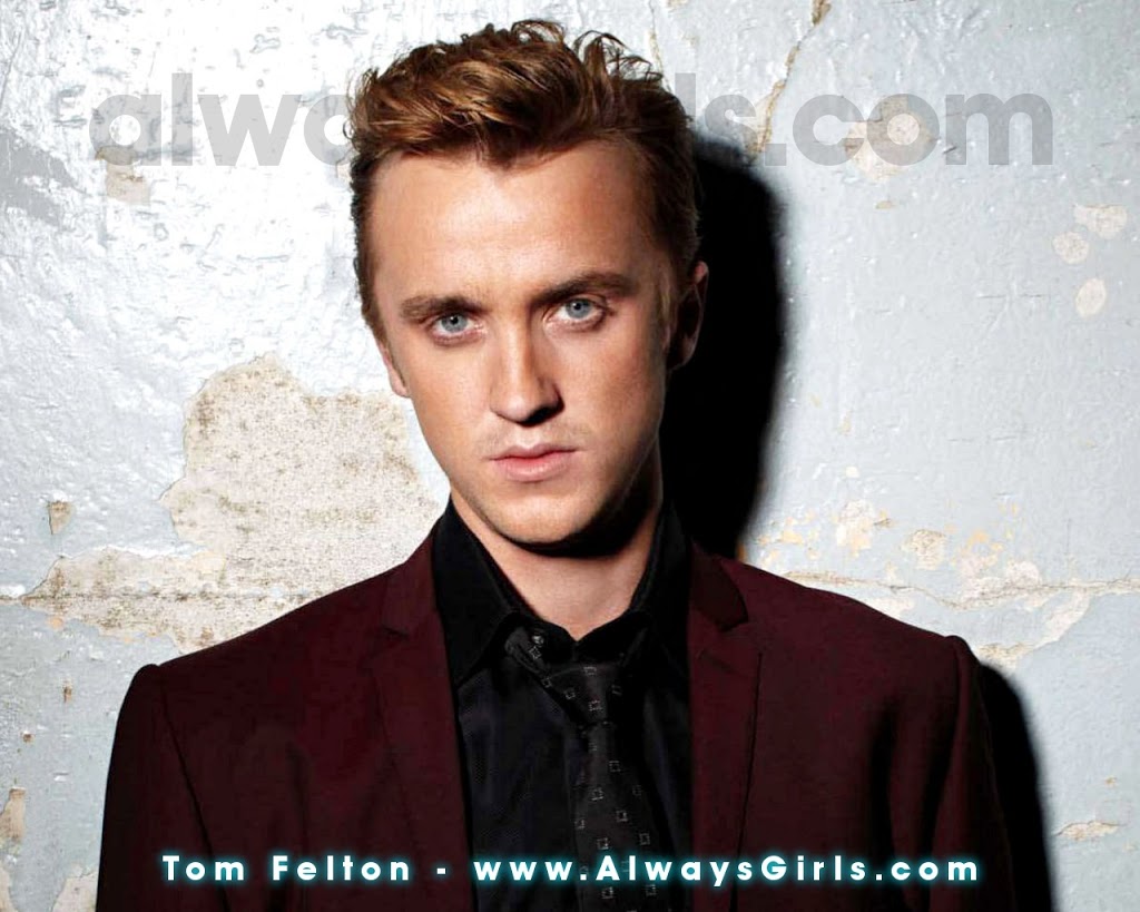 Tom Felton Wallpaper - Tom Felton - HD Wallpaper 
