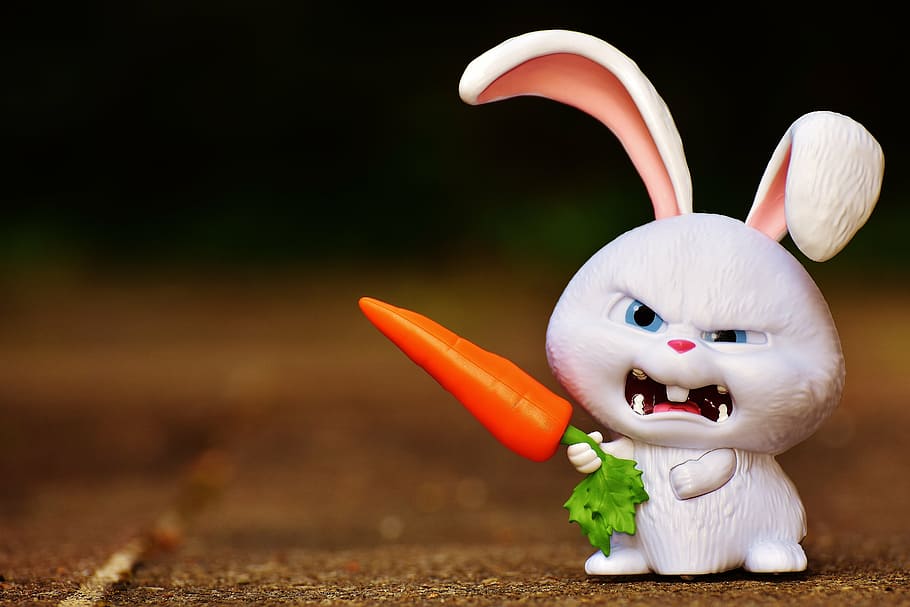 White rabbit holding carrot hare evil snowball evil white bunny