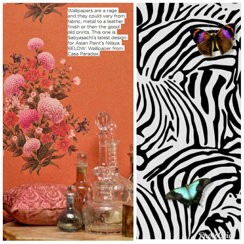 Chrysanths - HD Wallpaper 