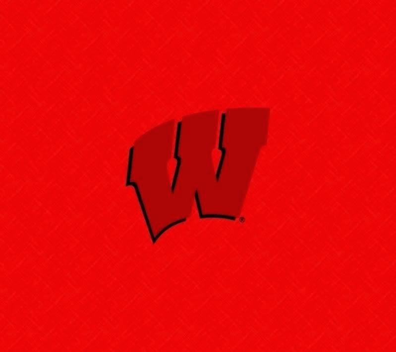 Wisconsin Badgers Wallpaper Badger Wallpapers Images - Colorfulness - HD Wallpaper 
