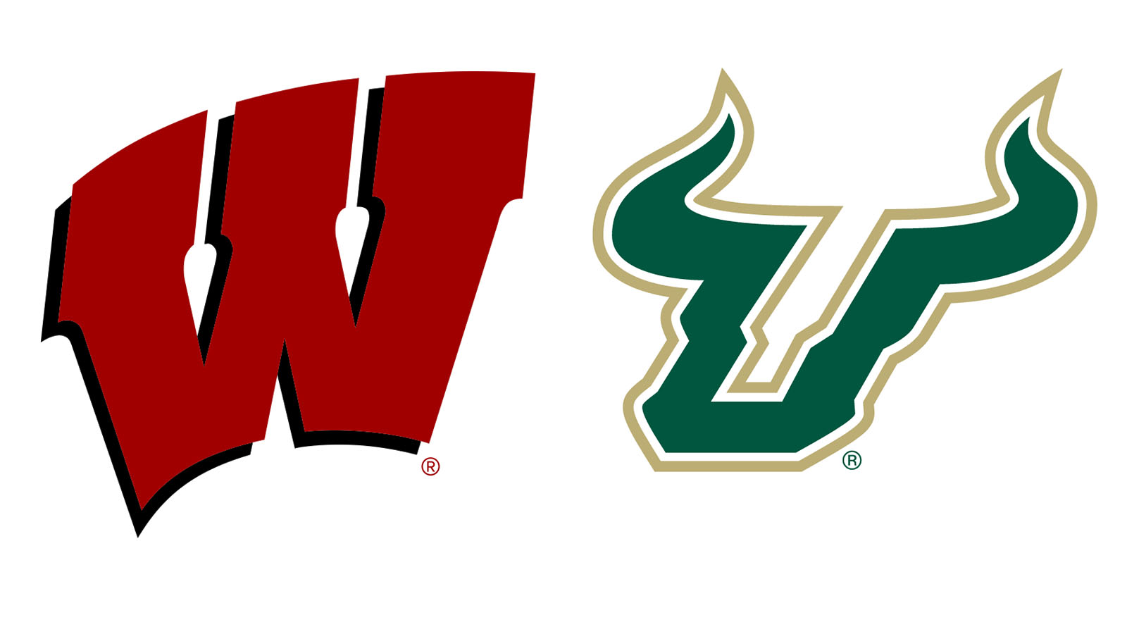 University Of South Florida - HD Wallpaper 