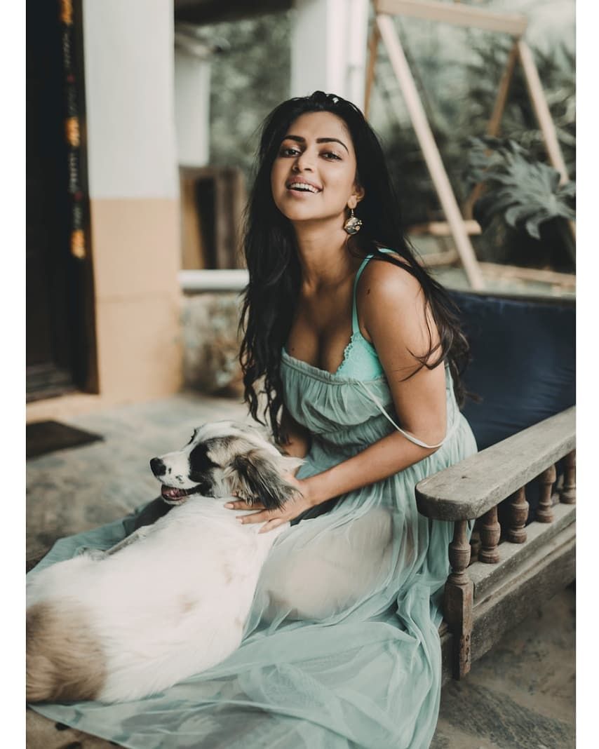 Amala Paul Images - Amala Paul Latest Photoshoot - HD Wallpaper 