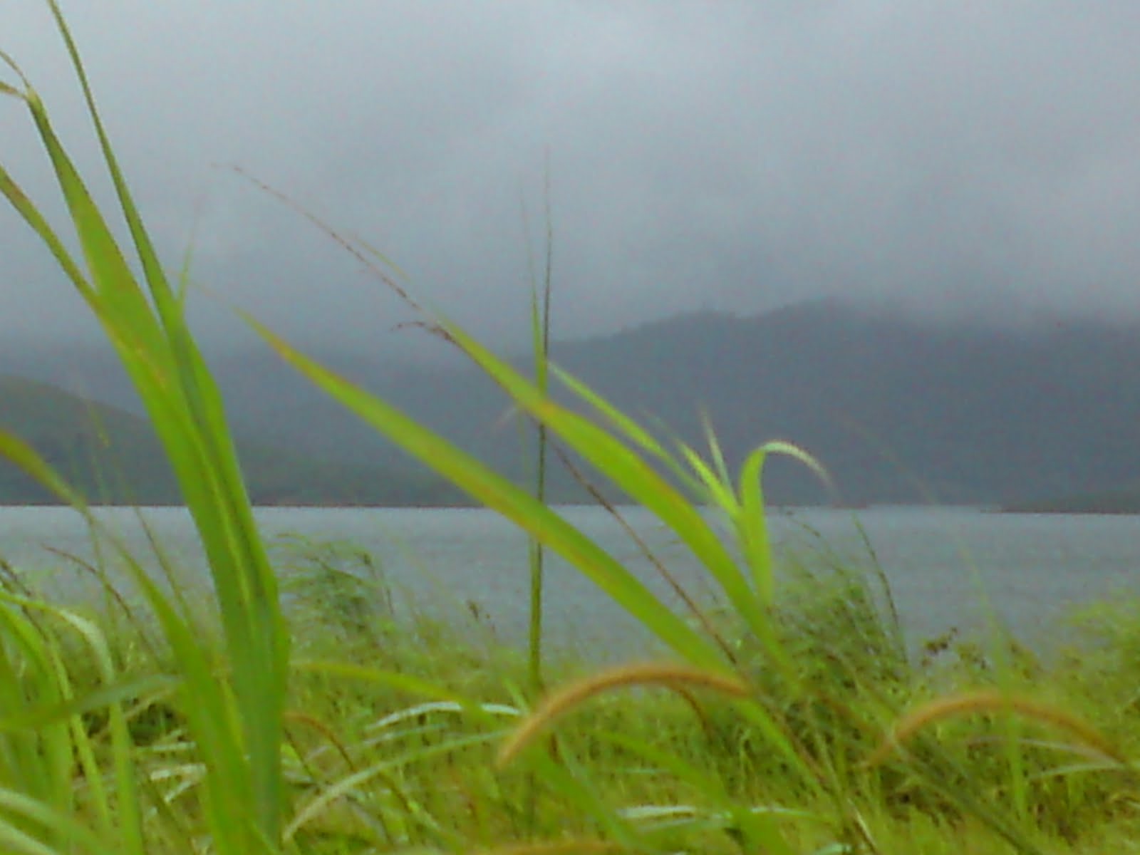 Banasura Sagar - Underwater - 1600x1200 Wallpaper Banasura Sagar - Underwater - 1600x1200 Wallpaper