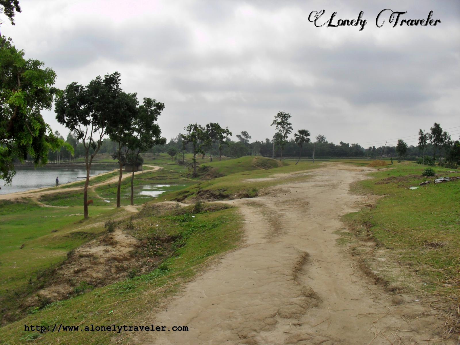 Shukh Sagar - Tree - HD Wallpaper 