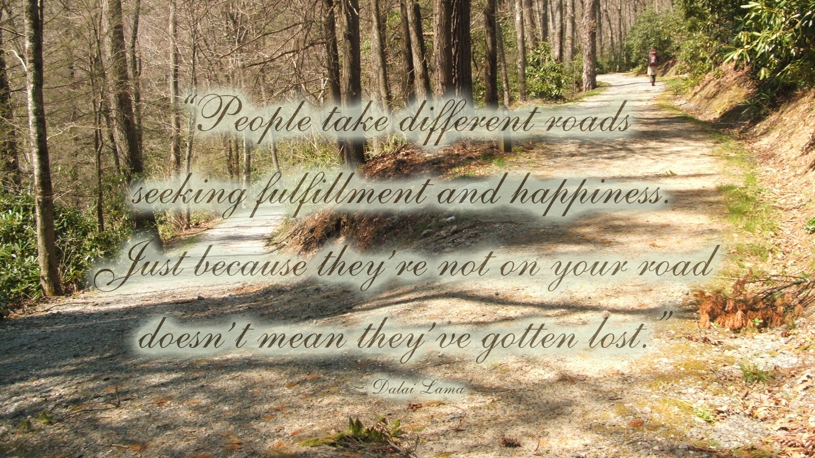 Dalai Lama Different Roads Wallpaper - Woodland - HD Wallpaper 