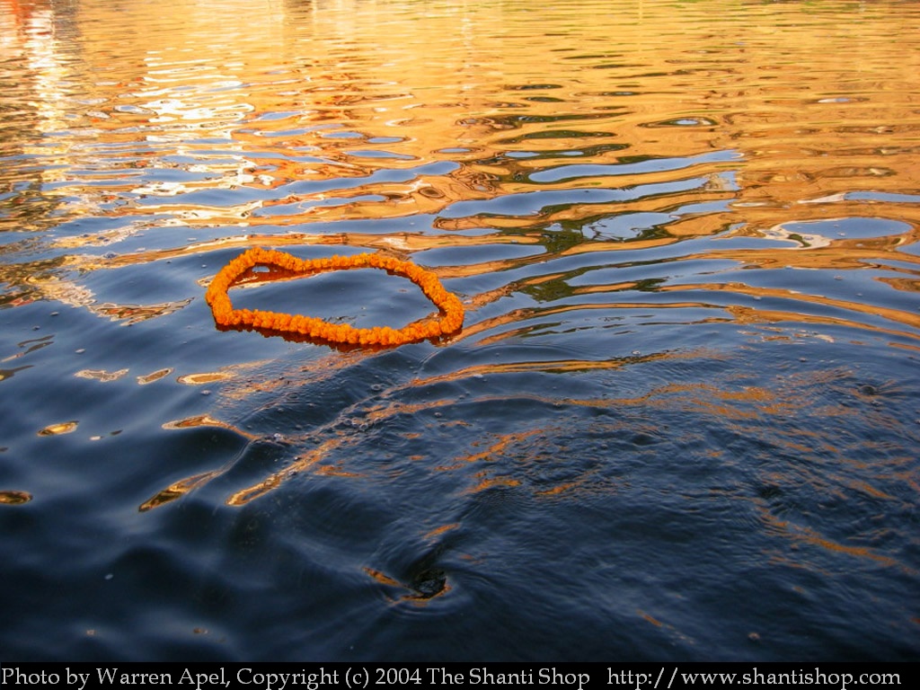 A Marigold Wreath Floats In The Waters Of The Holy - Hd Ganga River Background - HD Wallpaper 