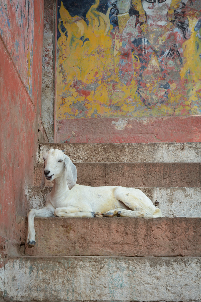 Varanasi - HD Wallpaper 