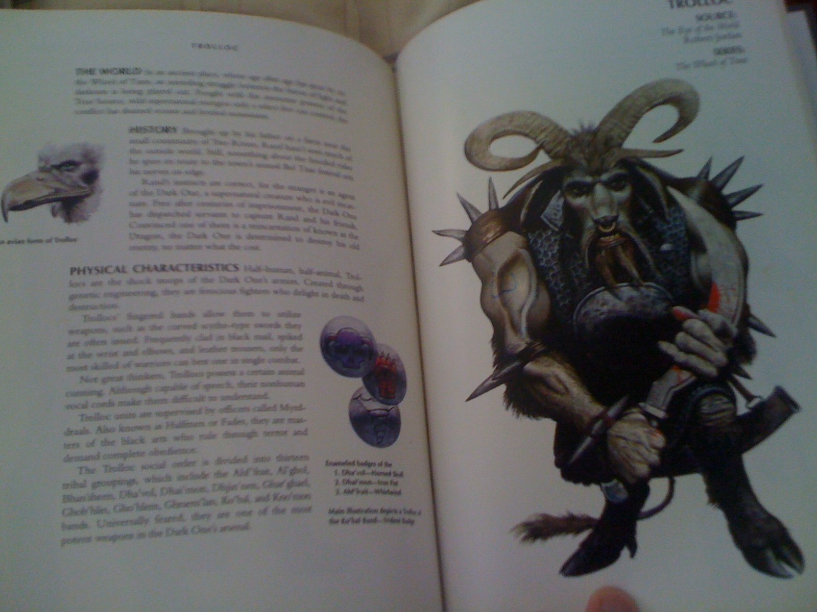 Trolloc Book Entry - Does Trollocs Look Like In The Book - HD Wallpaper 