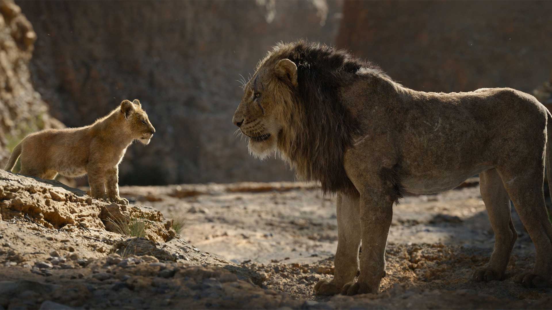 The Lion King Image - Lion King 4k - HD Wallpaper 