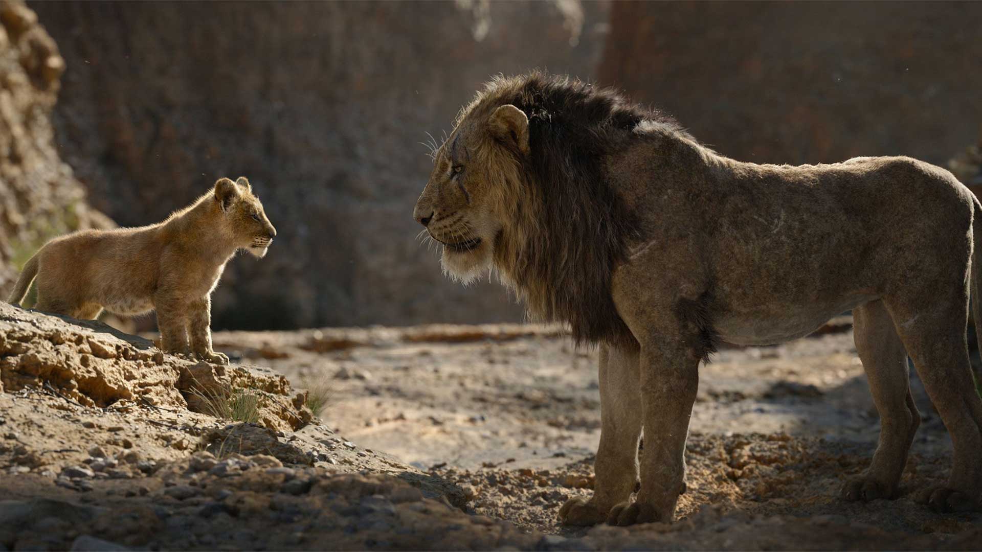 The Lion King Image - Lion King 4k - 1920x1080 Wallpaper The Lion King Image - Lion King 4k - 1920x1080 Wallpaper