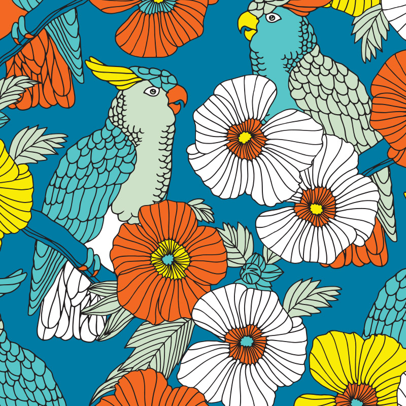 African Daisy - HD Wallpaper 